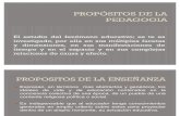 PROPÓSITOS DE LA PEDAGOGIA