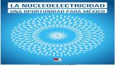 La Nucleoelectricidad-Resumen Ejecutivo