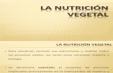 La Nutrición Vegetal
