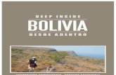 Guía turistica del altiplano boliviano