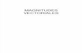 Magnitudes Vectoriales