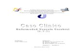 Caso Clinico Revision