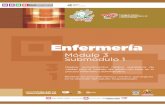 Guía Formativa ENFERMERIA 31, CECyTEH 2012