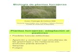 Biologia Plantas Forrajeras - 17abril08