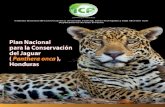Plan Nacional Para La Conservacion Del Jaguar - Honduras