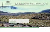 Panorama Actual de La Region Del Sumapaz