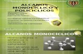 Alcanos Monociclico y Policiclicos