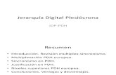 Jerarquía Digital Plesiócrona2