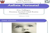 Asfixia Perinatal [1]