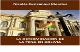 Determinacion de La Pena en Bolivia