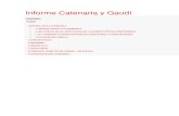 Informe Catenaria y Gaudí