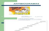 Antibiogramas Copia