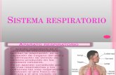Sistema Respiratorio- Diapositivas 1