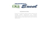 Excel2010 avanzado