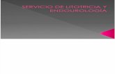SERVICIO DE LITOTRICIA Y ENDOUROLOGÍA