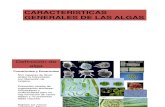 Caracteristicas de Las Algas