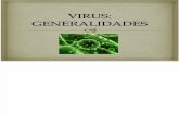 General Ida Des de Los Virus