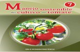 Manejo Sostenible Del Cultivo Del Tomate