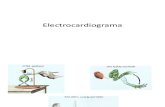 Clase 1 Electrocardiograma(2)
