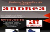 Cadena Productiva de Zapatos de Dama Andrea