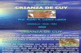 CRIANZA DE CUY (MANUAL)