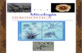 Micología Diagnóstica