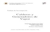Calderas y Gene Rad Ores de Vapor