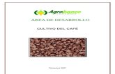 1 Cultivo Del Cafe