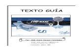 TEXTO GUIA SAP2000