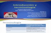 Introducción y terminología clase remo I