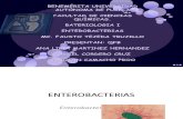 enterobacterias 3[1][1][1][1]
