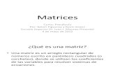 Presentación Matrices Precalculo 2012