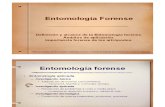 Introduccion entomologia forense