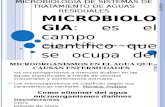 Microbiologia de Sistemas de Tratamiento de Aguas Residuales