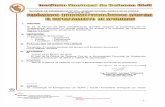 Informe de cia No 213- Fenomenos Hidrometeorologicos en Apurimac-InDECI-20120225