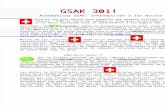 Manual GSAK301 español