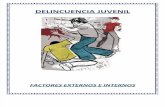 DELINCUENCIA JUVENIL-FACTORES