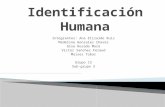 Identificaciòn humana