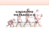 Presentacion Sindrome Metabolico