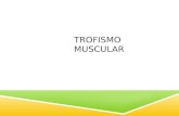 Trofismo Muscular