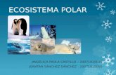 Ecosistema Polar