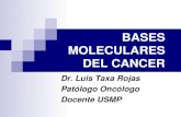 8.1.Bases Moleculares Del Cancer