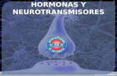 hormonas y neurotransmisores