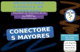 Conectores Mayores en protesis removible