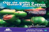 2011-10 Cenicafe-boletin 37 Ojo de Gallo o Gotera en Cafe