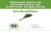 2003. FIAGRO. Manual de Producción de Cebollín Orgánico
