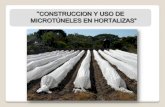 2010. El Salvador. Construccion y Uso de Micro Tuneles