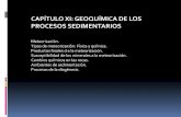 Xi. Geoquimica Procesos Sedimentarios