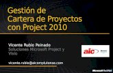 Gestion de Cartera de Proyectos Con Project 2010 11-05-13