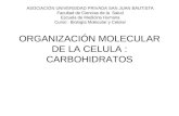 Biologia2 Carboidratos Imp